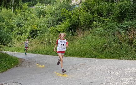 VR Talentiade / Sommerspringen in Königsbronn – Skiclub Königsbronn e.V.